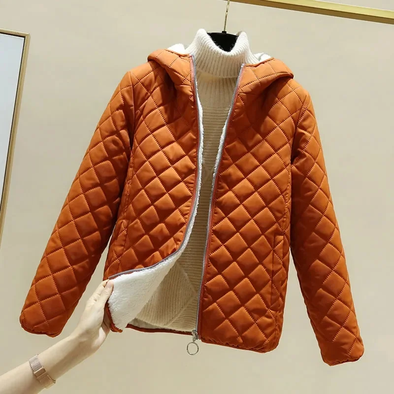 Cotton покритие жените зимата корейски версия хлабав кратко агнешко вълна снаждане и сгъстени памук палто голям студент топло палто P54 Изображение 0
