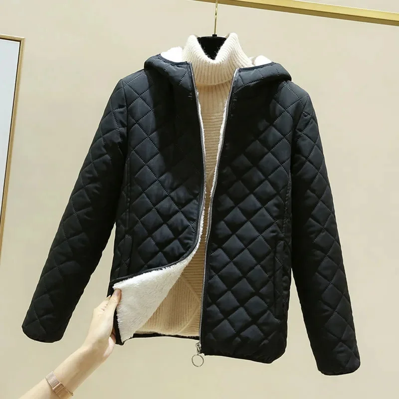 Cotton покритие жените зимата корейски версия хлабав кратко агнешко вълна снаждане и сгъстени памук палто голям студент топло палто P54 Изображение 1