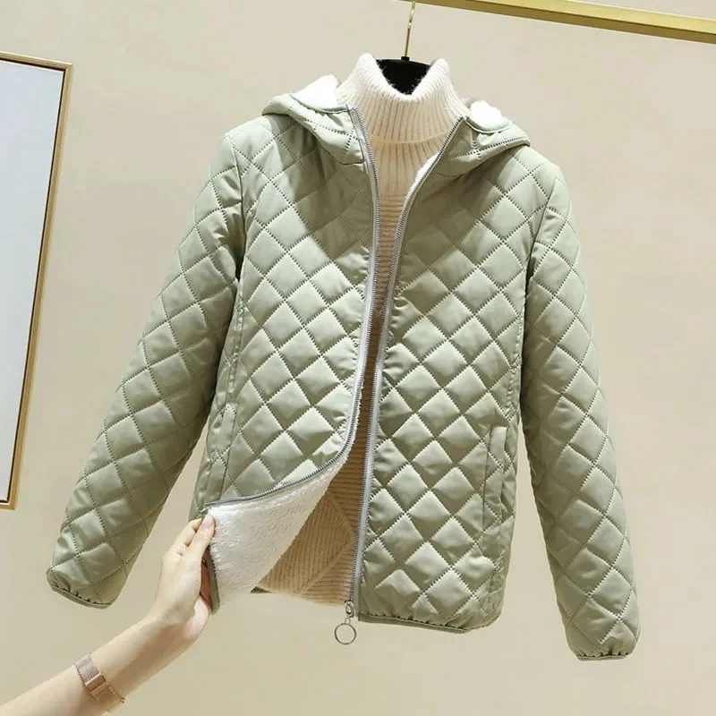 Cotton покритие жените зимата корейски версия хлабав кратко агнешко вълна снаждане и сгъстени памук палто голям студент топло палто P54 Изображение 2