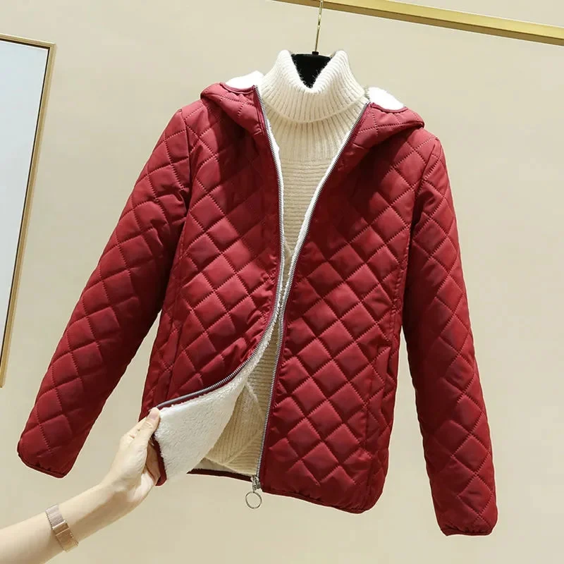Cotton покритие жените зимата корейски версия хлабав кратко агнешко вълна снаждане и сгъстени памук палто голям студент топло палто P54 Изображение 3