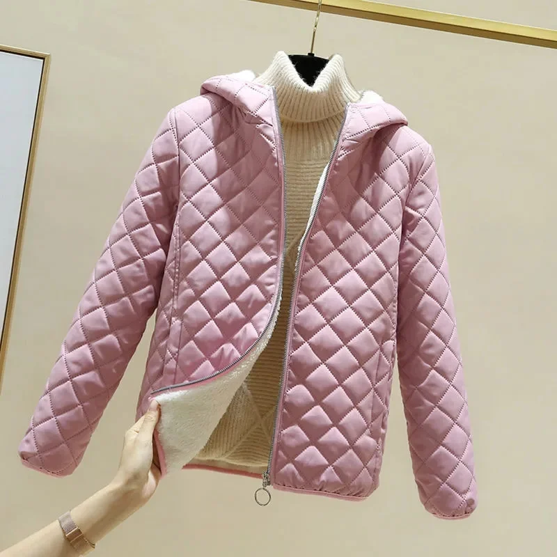 Cotton покритие жените зимата корейски версия хлабав кратко агнешко вълна снаждане и сгъстени памук палто голям студент топло палто P54 Изображение 4