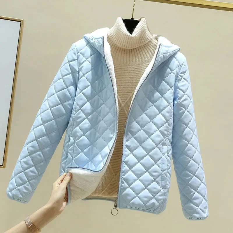 Cotton покритие жените зимата корейски версия хлабав кратко агнешко вълна снаждане и сгъстени памук палто голям студент топло палто P54 Изображение 5