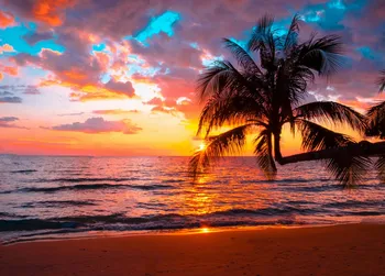 JMINE Div 5D палми залез тропически морски плаж Пълен диамант живопис кръстат бод комплекти изкуство Живопис 3D боя от диаманти